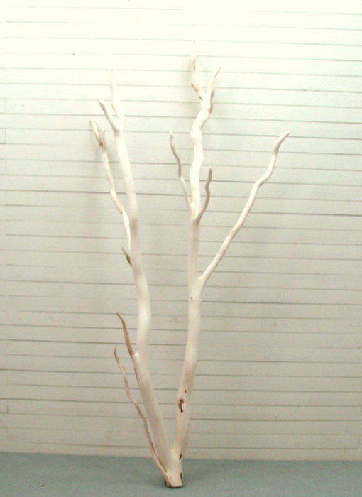 画像: 大型幹枝流木