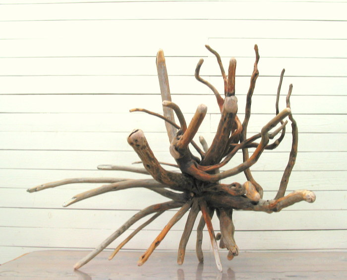 画像: 大型幹枝付き流木根