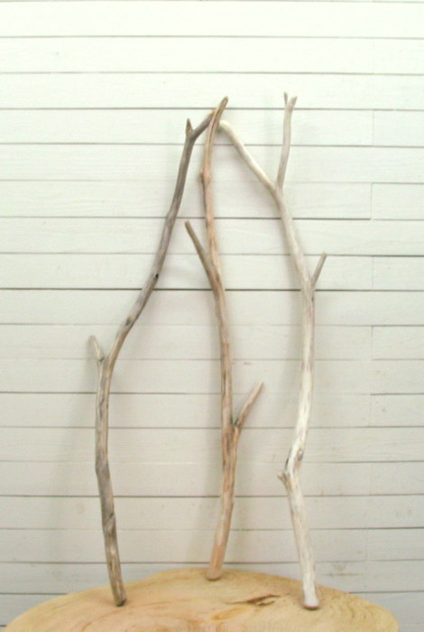 画像: 大枝細枝流木３本セット