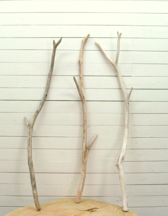 画像: 大枝細枝流木３本セット