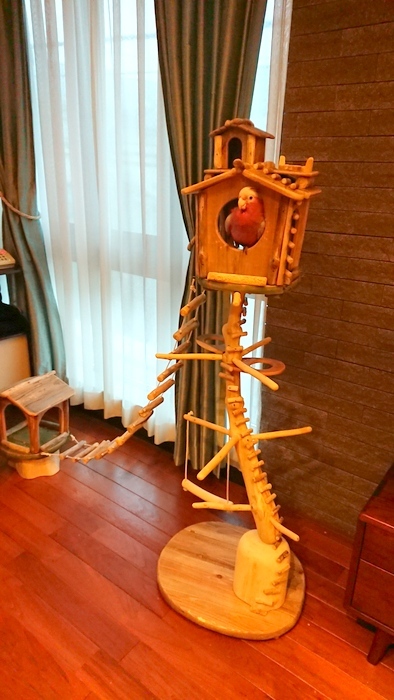 画像: 東京都 N 様のオリジナル流木バードジムタワーのご利用状況