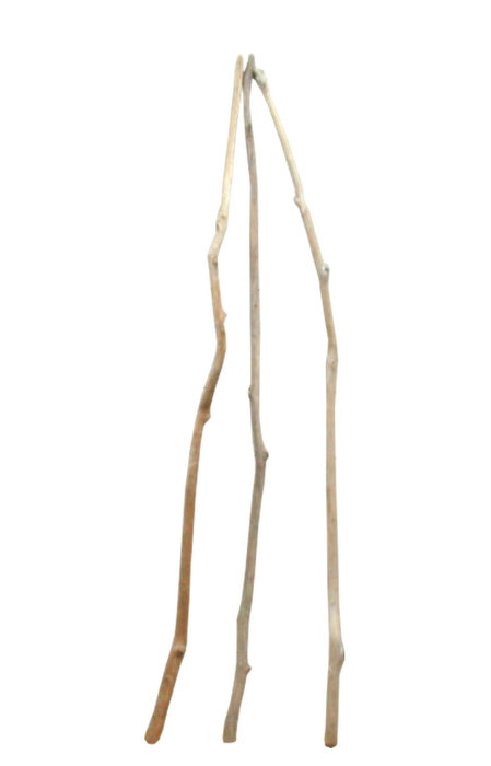 画像: 細枝流木棒１ｍ以上の３本セット