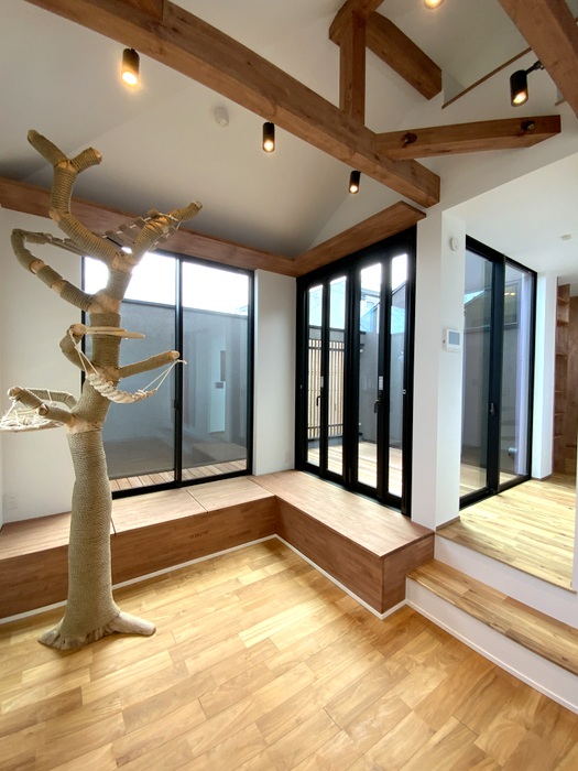 画像4: 東京都 T 様邸の大型流木木登りキャットタワーの設置状況