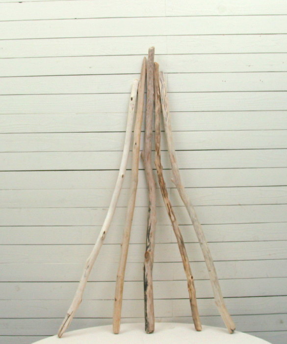 画像3: 流木棒１ｍ以上の５本セット