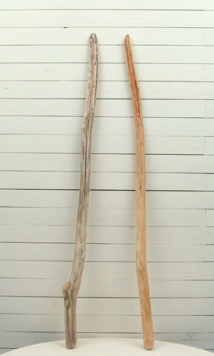 画像4: 流木棒１ｍ以上の２本セット