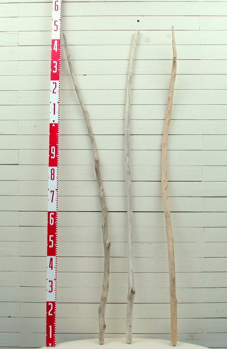 画像2: 流木棒１ｍ以上の３本セット