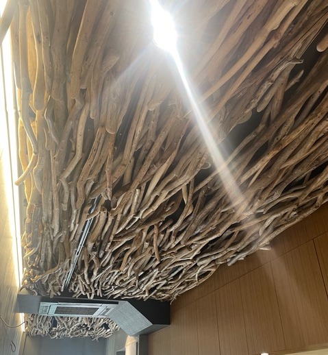 画像: 東京都で店舗内装工事工事等を手掛ける、株式会社スペラ様の流木素材をご利用頂いた状況です。