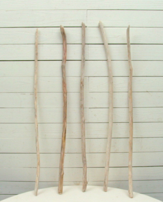 画像: 小枝細枝流木の５本セット