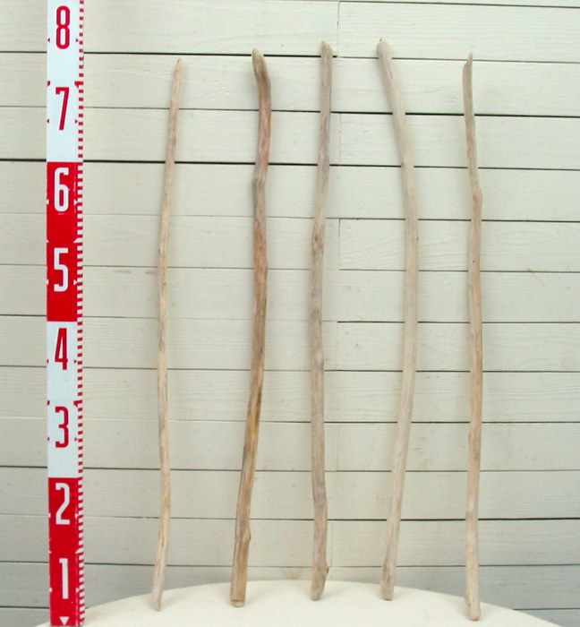 画像2: 小枝細枝流木の５本セット