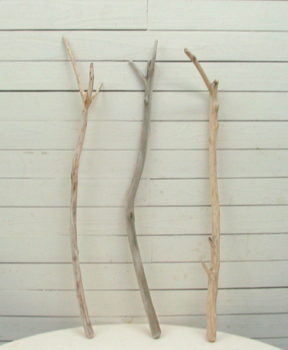 画像: 小枝細枝流木の３本セット