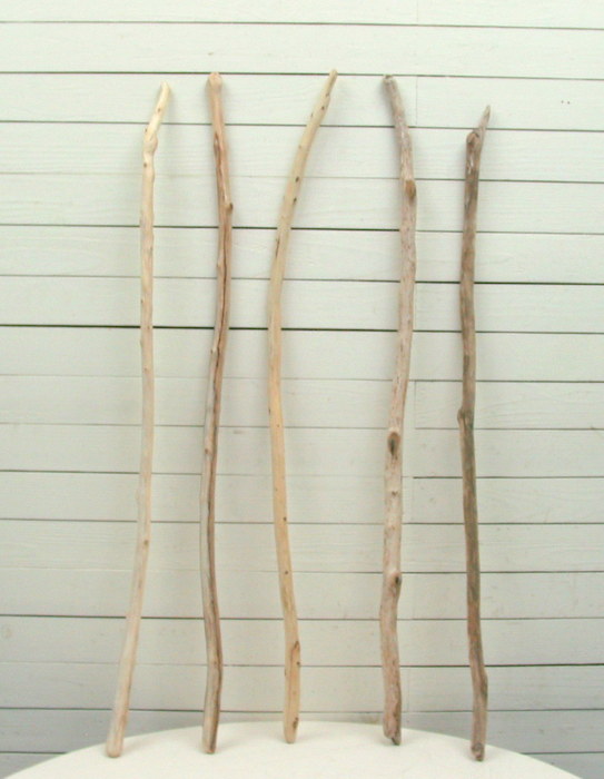 画像: 小枝細枝流木の５本セット