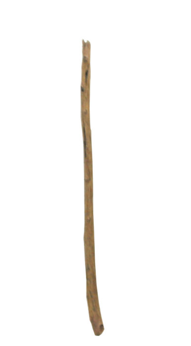 画像: 流木棒１ｍ以上の１本