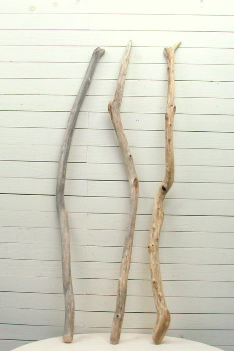 画像4: 流木棒１ｍ以上の３本セット
