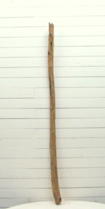 画像: 流木棒１ｍ以上の１本